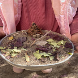 🍰 Minik Şeflerden Doğal Tasarım Pastaları! 🌿