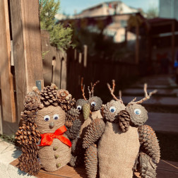 🌰 Doğanın Hediyeleriyle Sanat Zamanı
