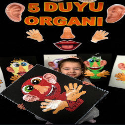👀👂👃👅✋ Duyularımızı Keşfediyoruz!