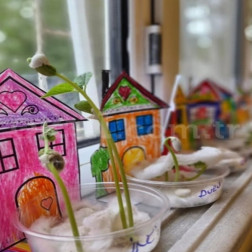 Minik Eller Toprakla Buluştu: Fasulye Tohumlarımızı Ektik! 🌱✨
