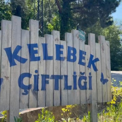 Kelebek Çiftliği