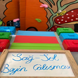 🧠 Sağ ve Sol Beyin Çalışmalarıyla Zihinler Gelişiyor! 🎨📚
