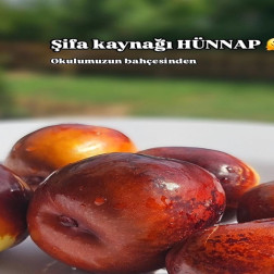 🌿 Doğadan Sofraya: Minik Ellerle Organik Hasat! 🧺🍳