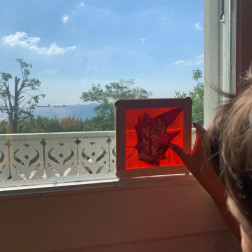 🌇 Renkli Işıkla Manzara İncelemesi