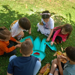 🐸 Doğa ile Sanat Buluştu: Kurbağa Etkinliğimiz! 🍃🎨