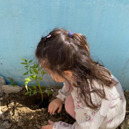 🌱 Minik Eller Toprakla Buluştu! 🌿