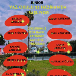 YAZ OKULU