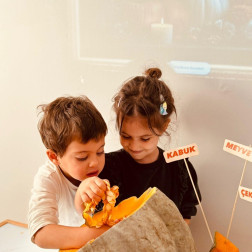 🎃 Tohumdan Öğrenmeye: Kabakla Keşif Zamanı! 🌱🔍