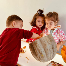 🎃 Tohumdan Öğrenmeye: Kabakla Keşif Zamanı! 🌱🔍