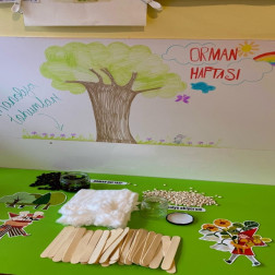 🌱 Minik Eller Toprakla Buluşuyor: Orman Haftası Etkinliğimiz 🌳