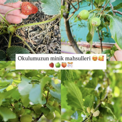 🍓 Pusula Anaokulu’nda Baharın Tatlı Hediyeleri 🌿