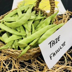 🌱 Fasulyenin Yaşam Döngüsü 🍃