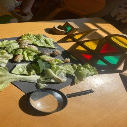 🔍 Meraklı Gözlerle Doğayı Keşfediyoruz!