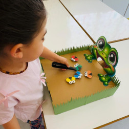 Montessori Etkinliği