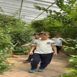 Kelebeklerle Dolu Büyülü Bir Gün 🦋🌿