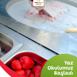 DONDURMA ŞENLİĞİ
