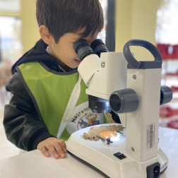 🔬 Merakla Başlayan Bilim Yolculuğu