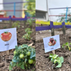Minik Bahçıvanlar İş Başında! 🌱
