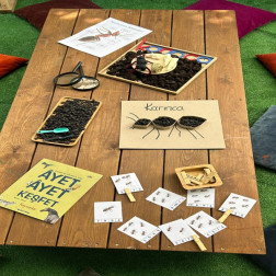 🐜 Minik Kaşiflerle Karınca Atölyesi!
