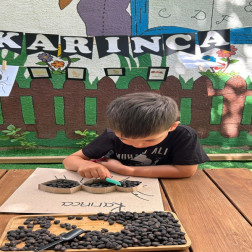 🐜 Minik Kaşiflerle Karınca Atölyesi!