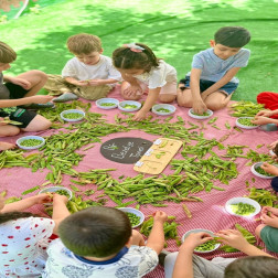 !  🌱 Bezelye Ayıklama Atölyesi – Minik Ellerle Doğaya Dokunuyoruz!