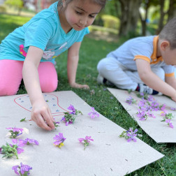 🌸 Doğayla İç İçe Sanat: Çiçeklerle Tasarım Etkinliği