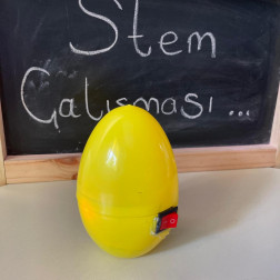 🧪 STEM ile Bilimsel Merak Uyandırma: Elektrikli Yumurta Projesi