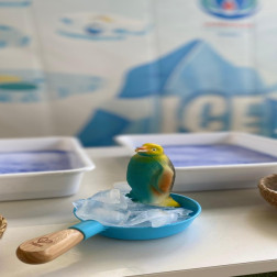 ❄️ BUZ GİBİ BİR KEŞİF: ICE DENEYİ GÜNÜ! 🧊🐧
