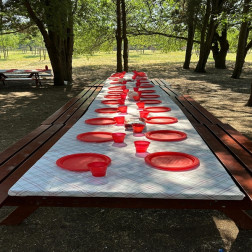 🎉 Yıl Sonu Pikniği Neşesi! 🌳