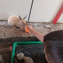 🐰 Minik Eller, Şefkatli Kalpler! 🥕💛