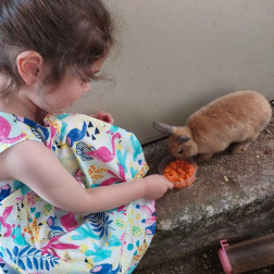 🐰 Minik Eller, Şefkatli Kalpler! 🥕💛