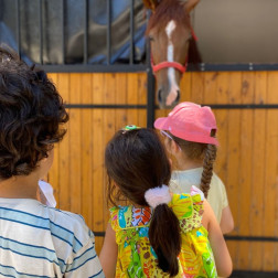 BİNİCİLİK KLÜBÜMÜZ