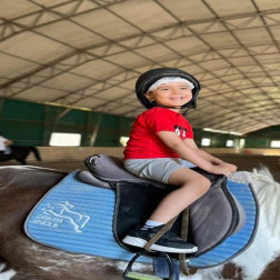 🐎 At Binme Keyfi!