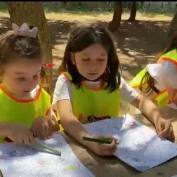 Stem-Bilim-Fen-Ekoloji