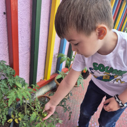 🌱 Minik Bahçıvanlar İş Başında