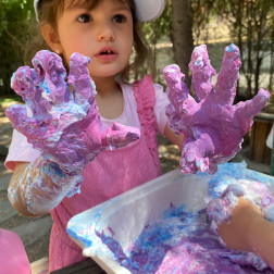 ✨ Özel Miya Akademi Anaokulu İstatistikleri 🤩