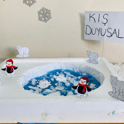 KIŞ DUYUSALI