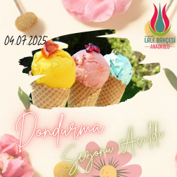 DONDURMA ŞENLİĞİ