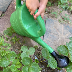 Minik Ellerle Bahçemizi Suladık! 🌿💧