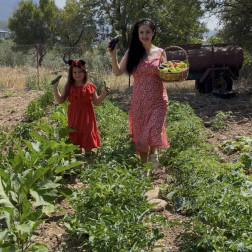 Köy okulu sebzeleri toplama zamanı