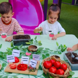 🌱🍅 Minik Eller Toprakta, Domatesler Yolda! 🍅🌱