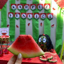 KARPUZ ŞENLİĞİ