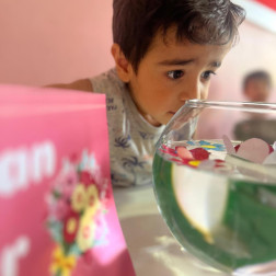 Suda Açan Çiçekler Deneyiyle Doğanın Sırrını Keşfediyoruz!