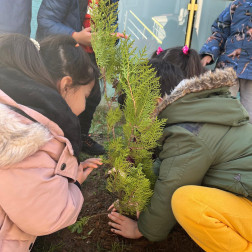Minik Eller, Büyük Yeşiller