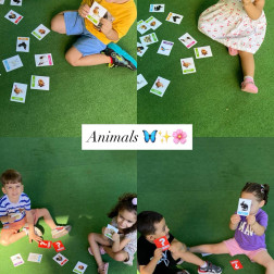 Hayvanlar Dünyasında Eşleştirme Oyunu!