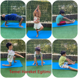 Temel Hareket Eğitimi