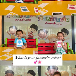 “What Is Your Favorite Color?”