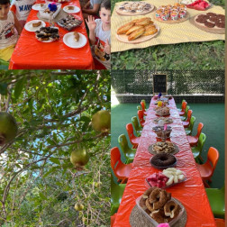 Piknikte Keyifli Anlar!