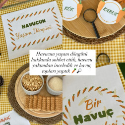 Havuçla Tanıştık!