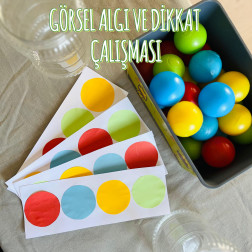 Görsel Algı ve Dikkat Oyunu